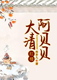 大清阿贝贝红楼