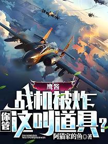 鹰酱改飞机
