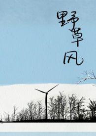 野草风杂文流派和鲁迅风杂文流派的区别