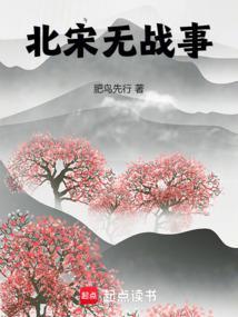 北宋发生的战争