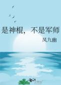 不是军师 凤九幽TXT