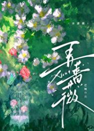 弄蔷薇舒清晚原名